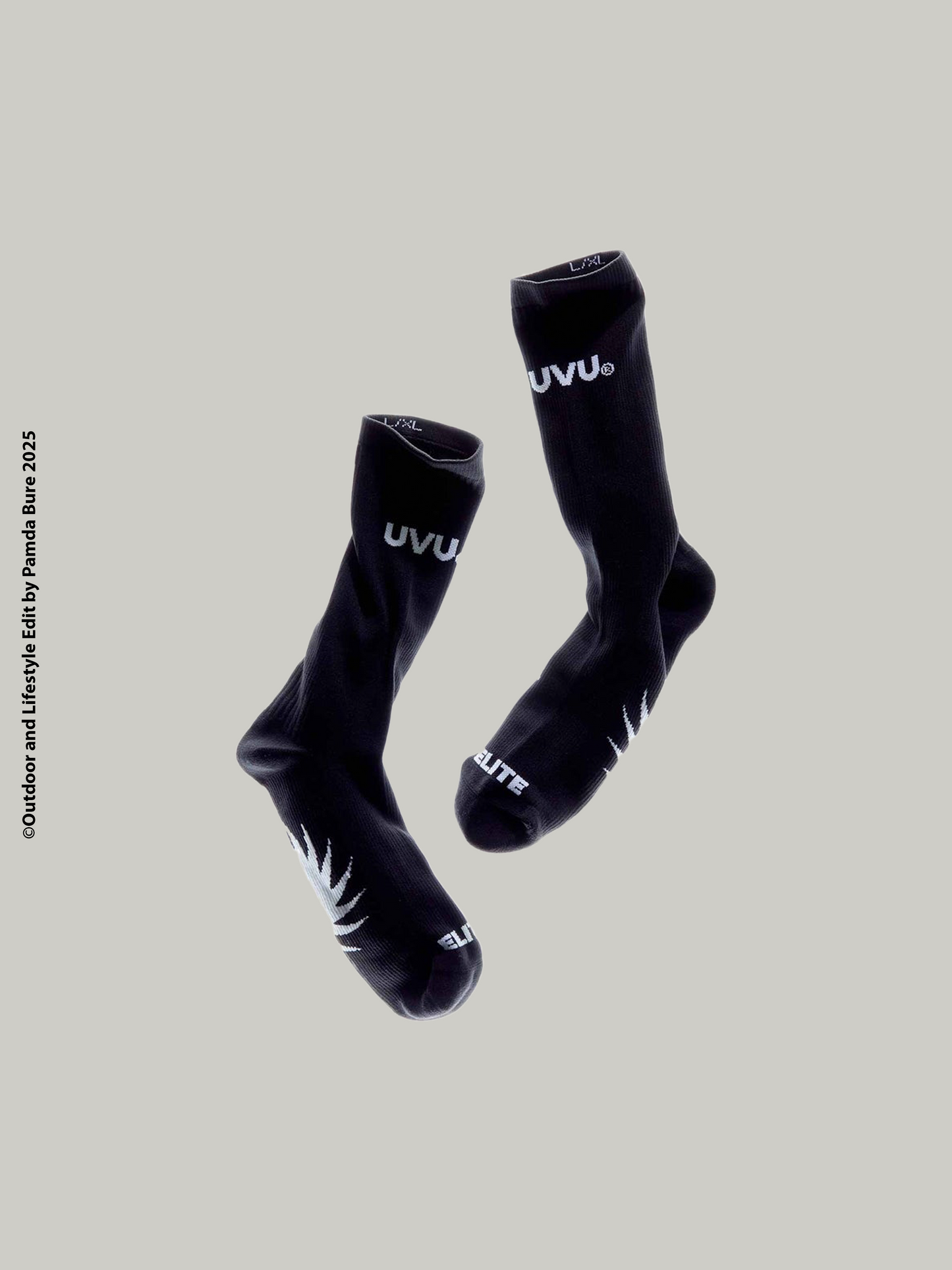 Core Collection Training Sock Black (U)