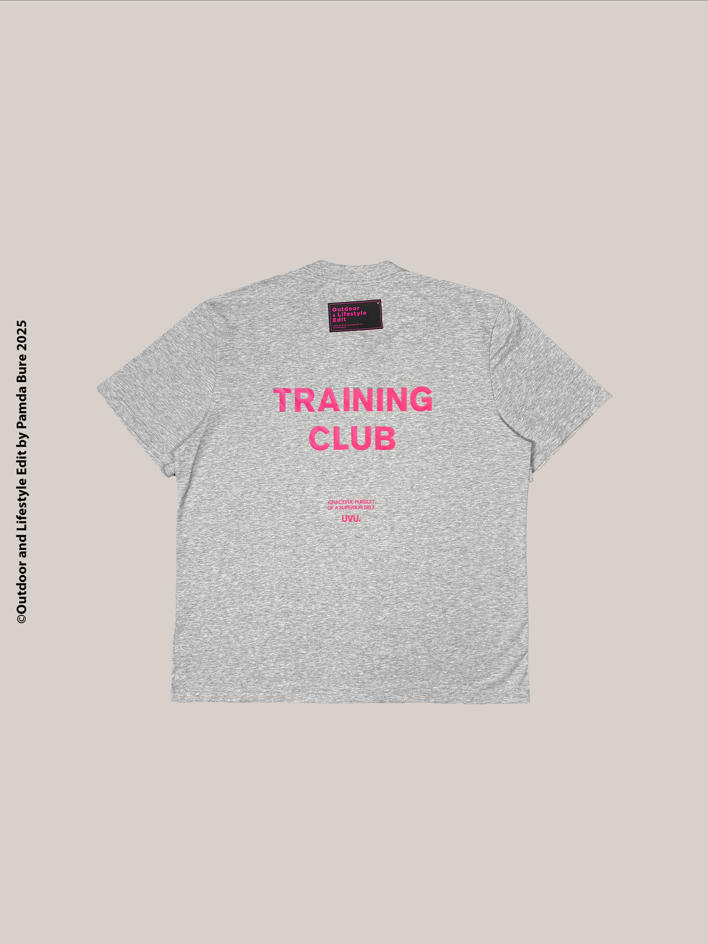 Training T-Shirt Grey/Pink