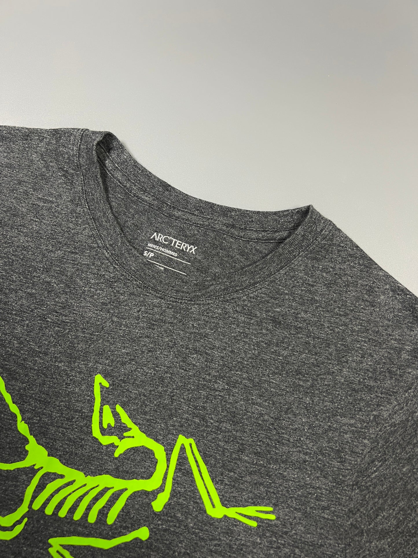 เสื้อยืด Archaeopteryx สีเทา/Ray - S (ช.)