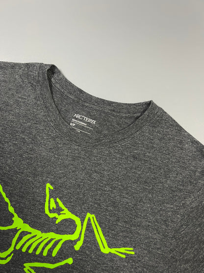 เสื้อยืด Archaeopteryx สีเทา/Ray - S (ช.)