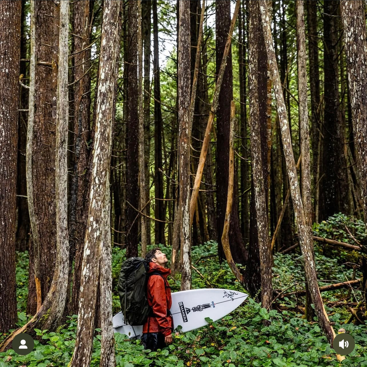 Beta SL Jacket Sequoia - M(M)